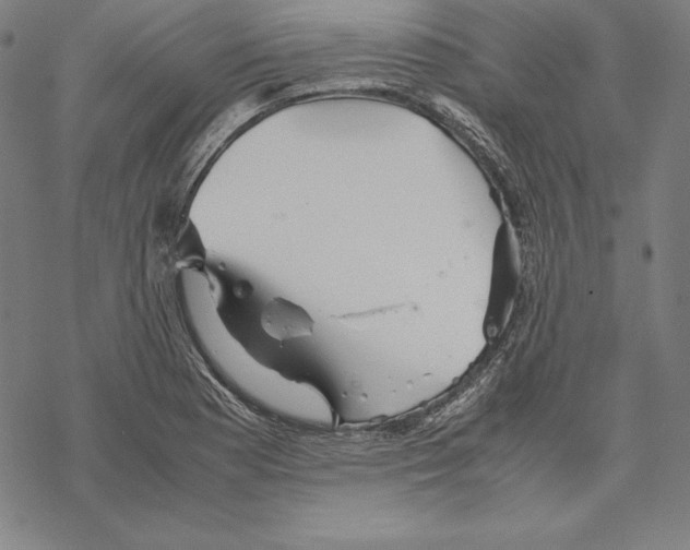 X0000067851177200605111700