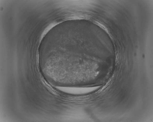 X0000067851179200605111700