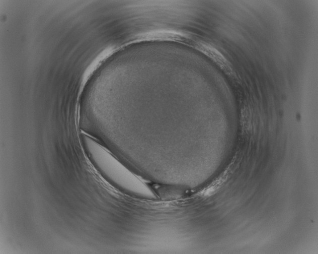 X0000067851180200605111700