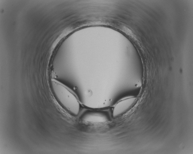 X0000067851181200605111700