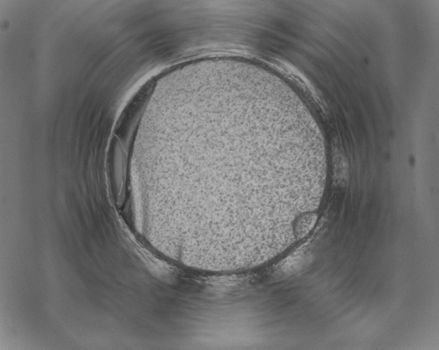 X0000067851182200605111700