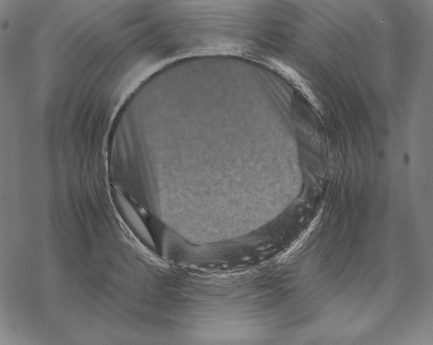 X0000067851184200605111700