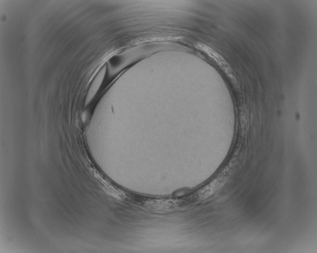 X0000067851185200605111700