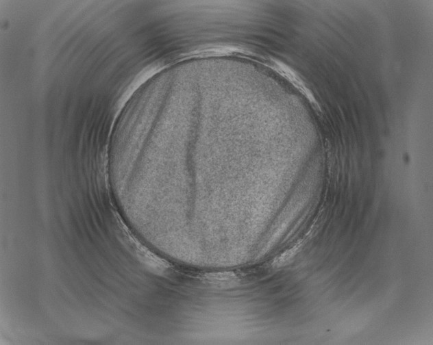 X0000067851186200605111700