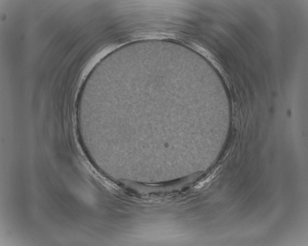 X0000067851187200605111700