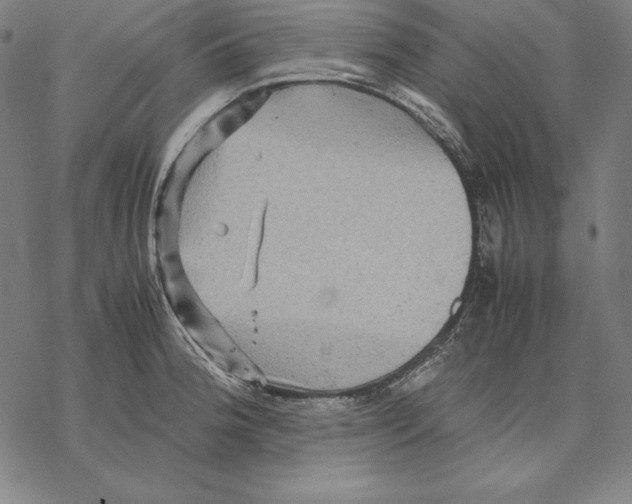 X0000067851188200605111700