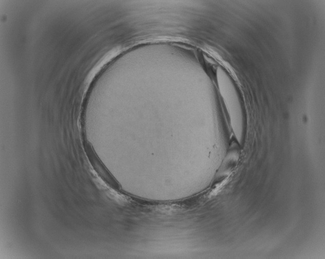 X0000067851189200605111700