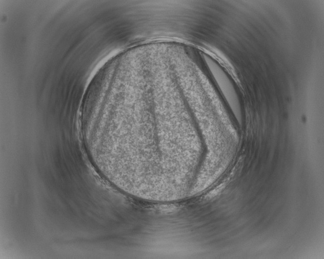 X0000067851190200605111700