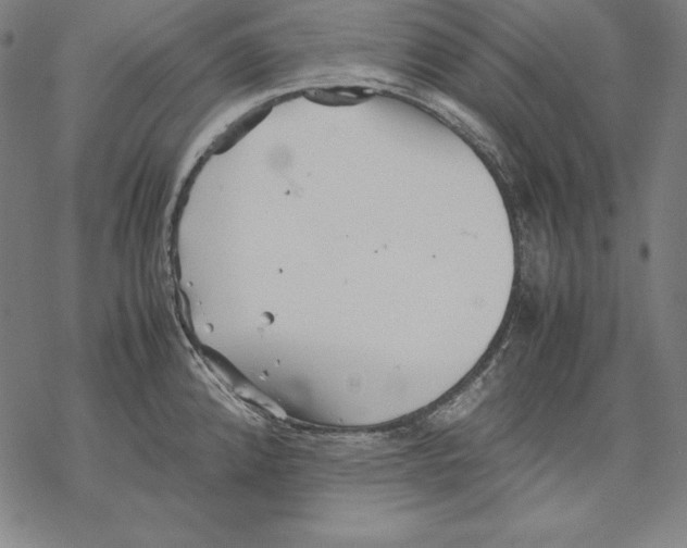 X0000067851192200605111700