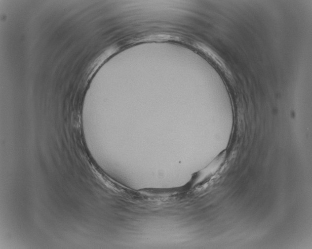 X0000067851193200605111700