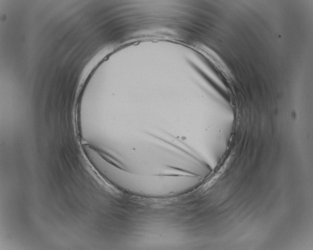 X0000067851196200605111700