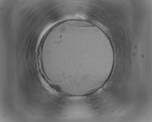 X0000067851200200605111700