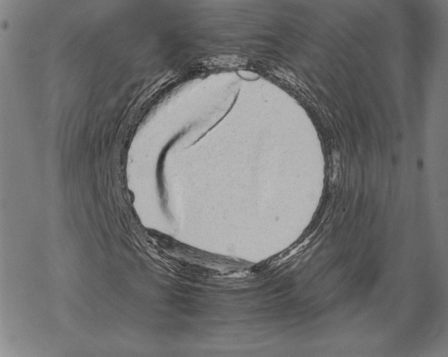 X0000067851201200605111659