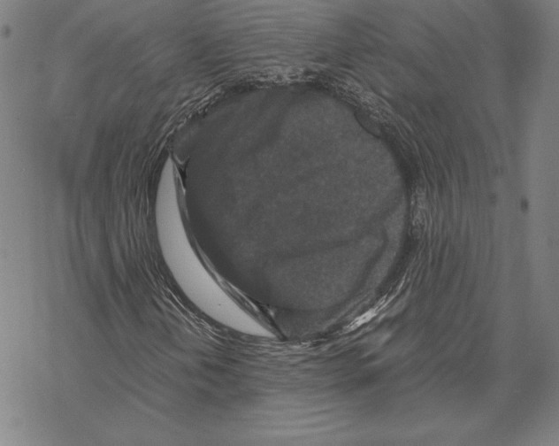 X0000067851202200605111659