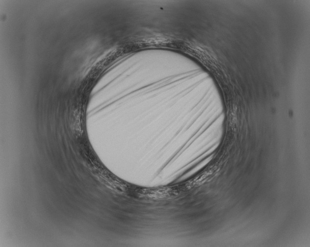 X0000067851205200605111659