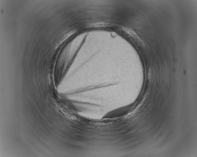 X0000067851209200605111659