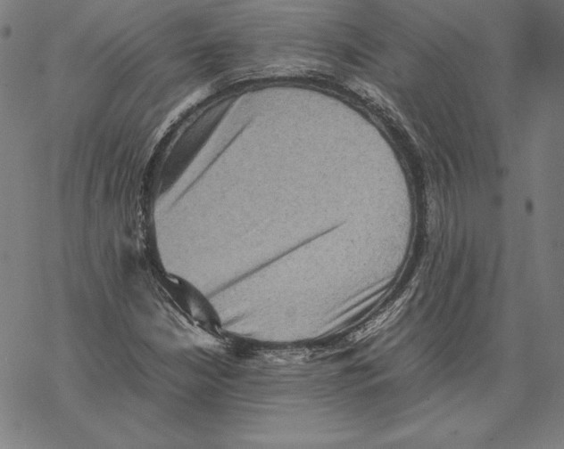 X0000067851210200605111659