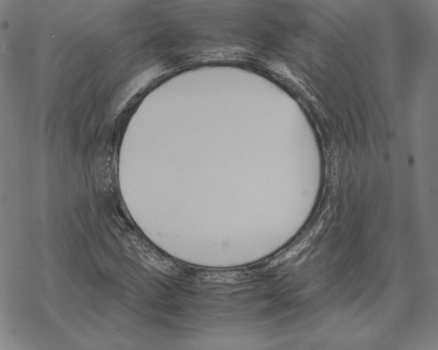 X0000067851211200605111659