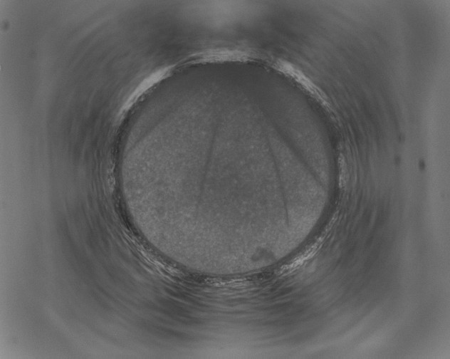 X0000067851213200605111659