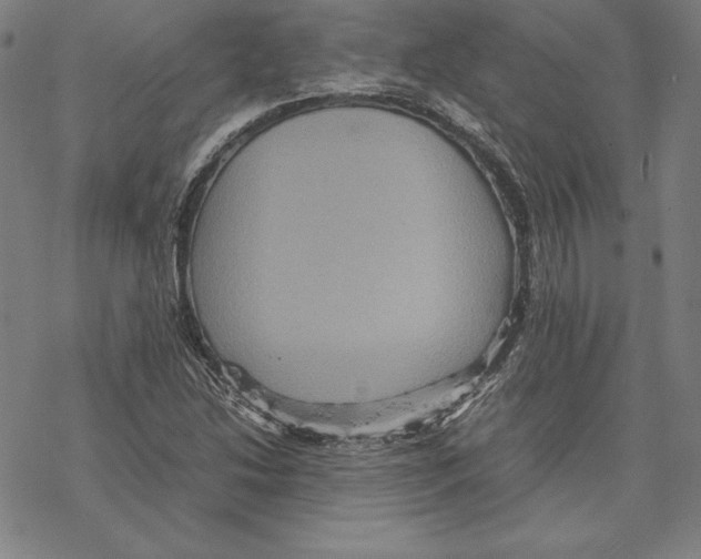 X0000067851214200605111659