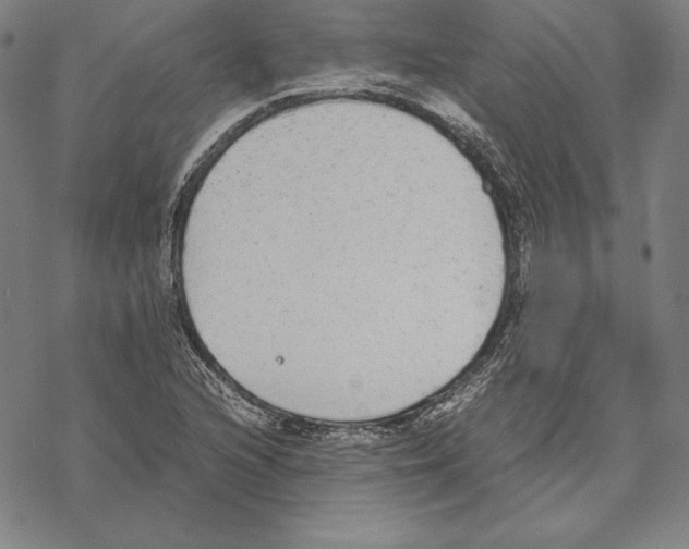 X0000067851216200605111659