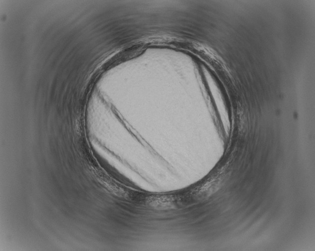 X0000067851217200605111659