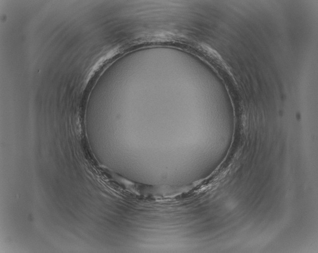 X0000067851218200605111659