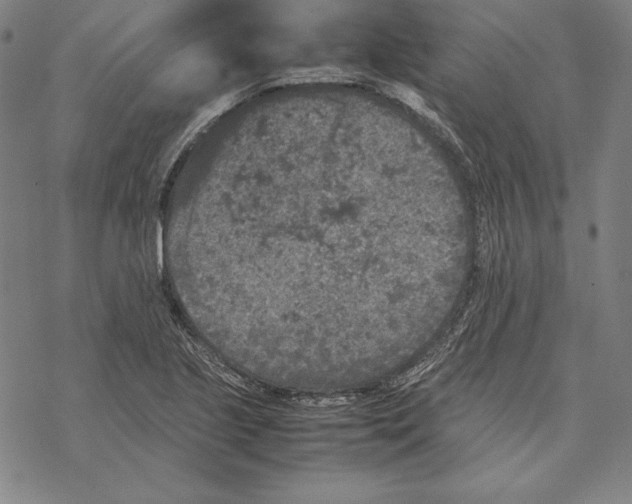 X0000067851221200605111700