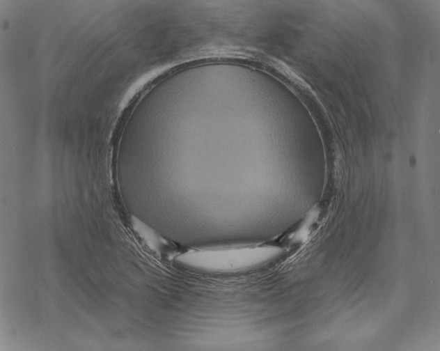 X0000067851222200605111700