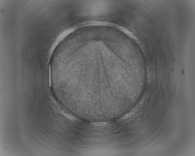 X0000067851223200605111700