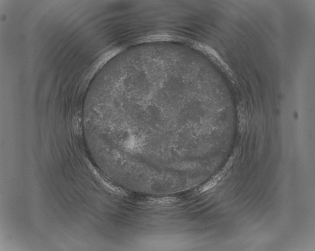 X0000067851225200605111700