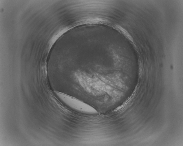 X0000067851226200605111700