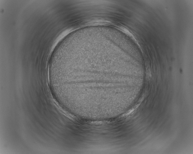 X0000067851227200605111700