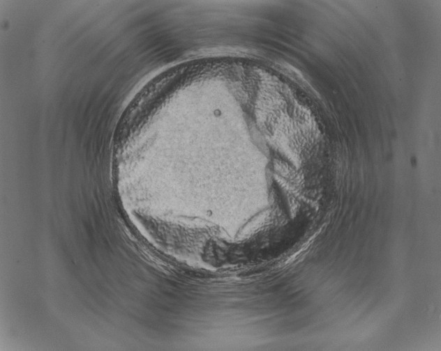 X0000067851228200605111700