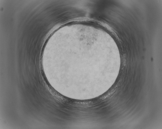 X0000067851229200605111700