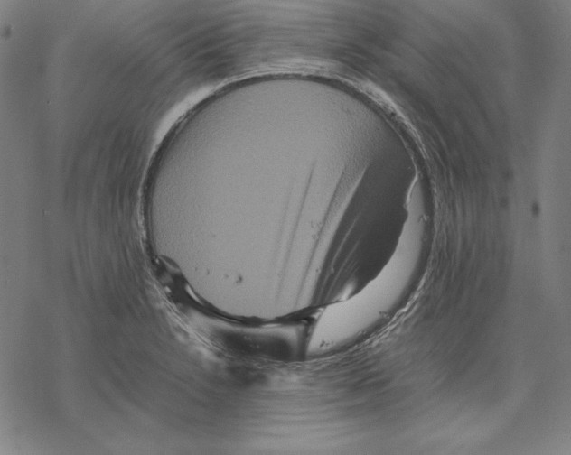 X0000067851230200605111700