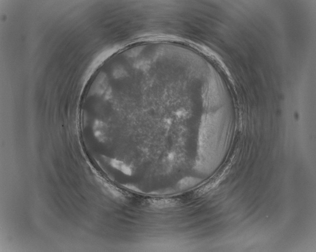 X0000067851231200605111700