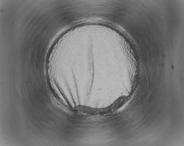 X0000067851232200605111700