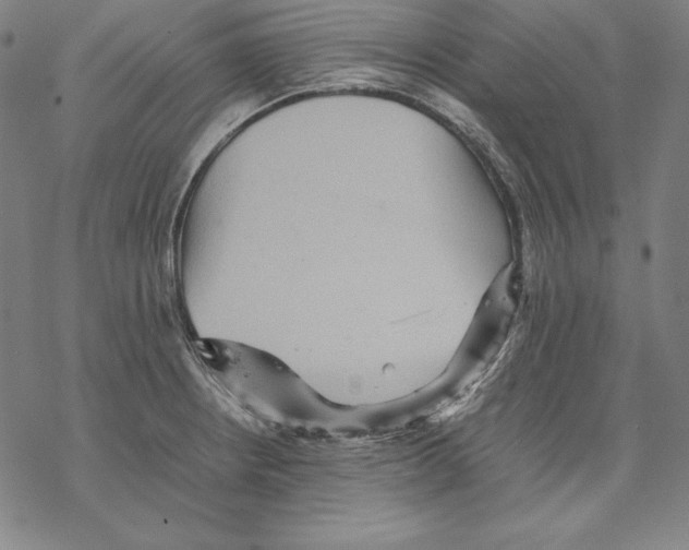 X0000067851234200605111700