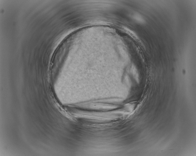 X0000067851236200605111700