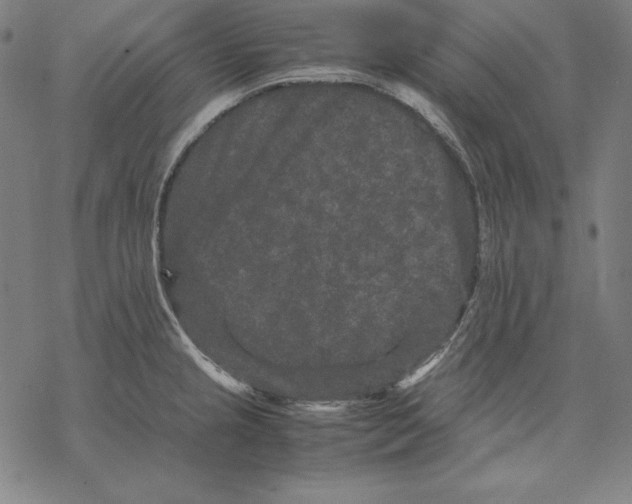 X0000067851237200605111700