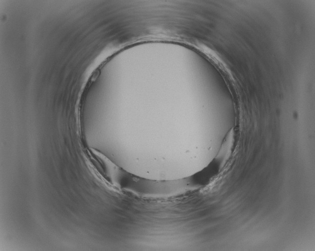 X0000067851238200605111700