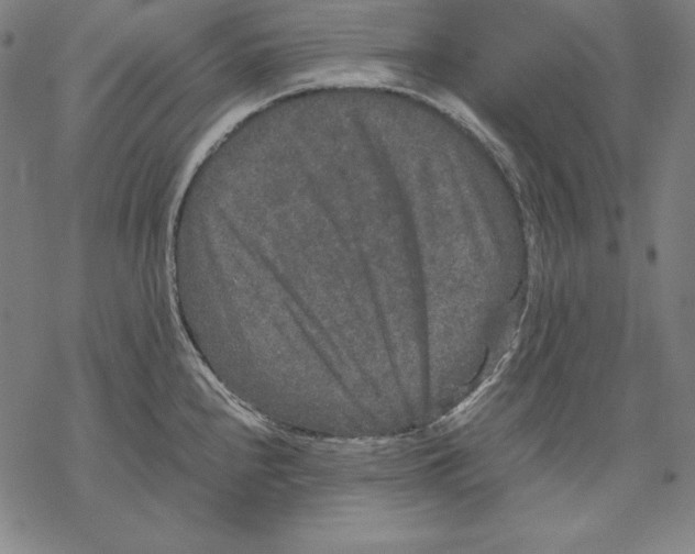 X0000067851240200605111700