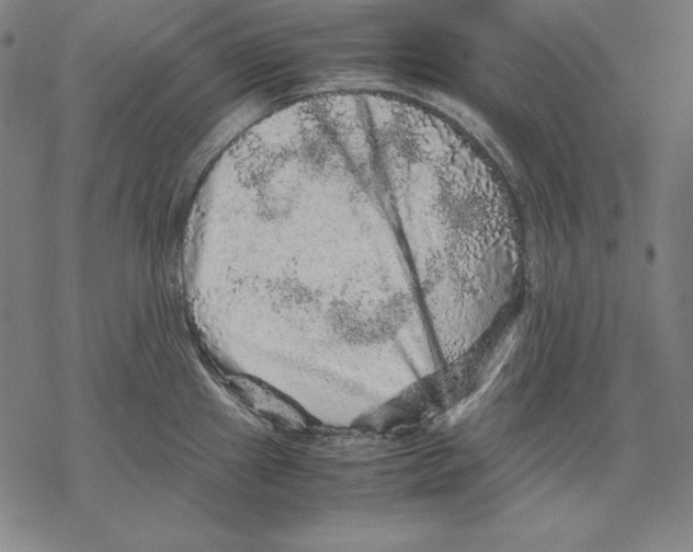 X0000067851241200605111700