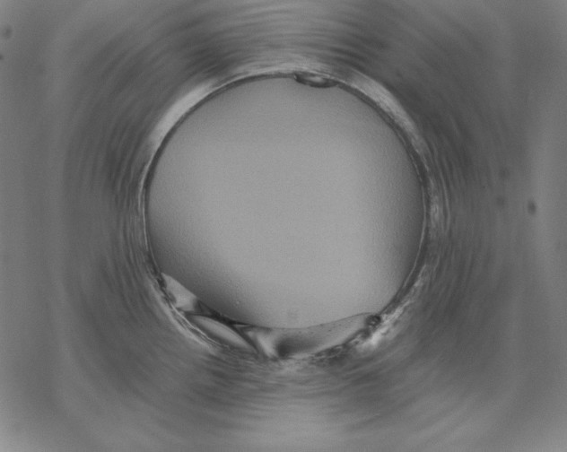 X0000067851242200605111700