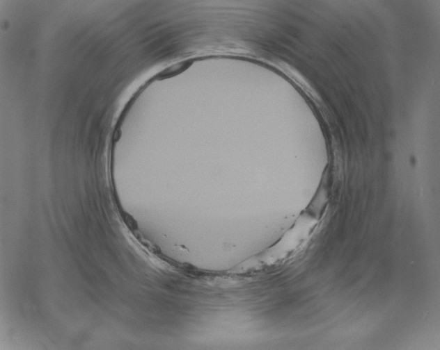 X0000067851246200605111700