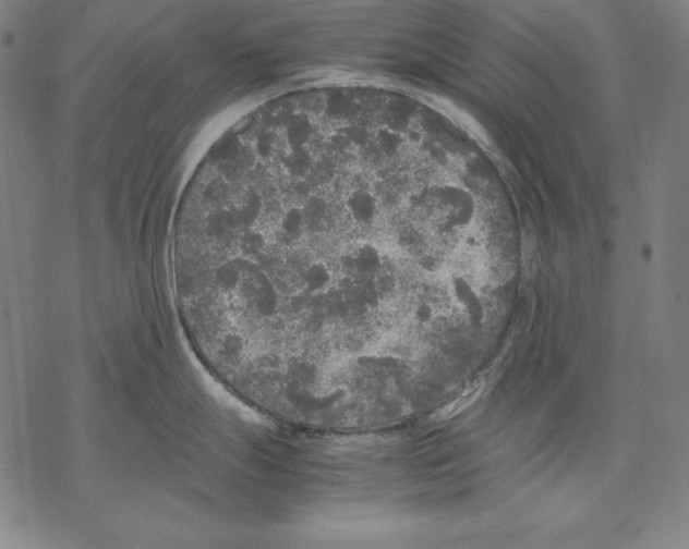 X0000067851247200605111700