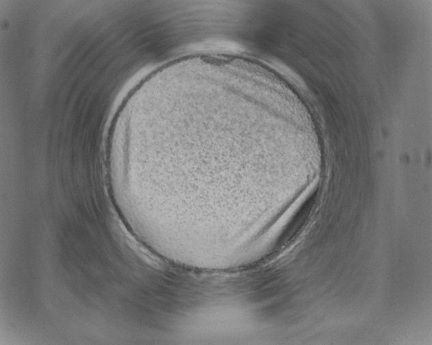 X0000067851248200605111700