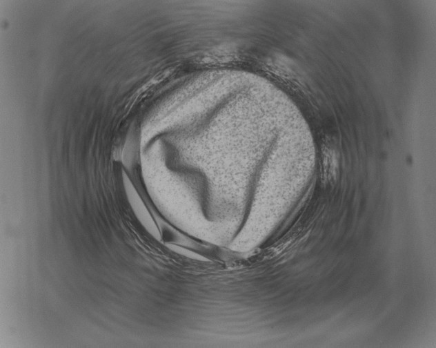 X0000067851250200605111659