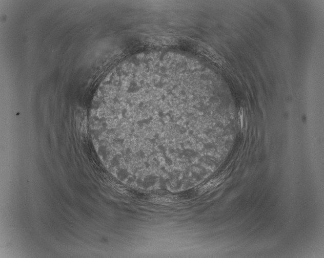 X0000067851251200605111659